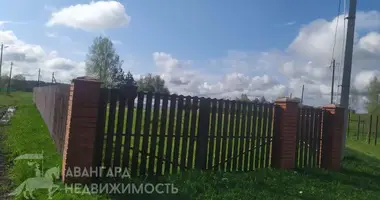 Plot of land in Uzdzienski sielski Saviet, Belarus