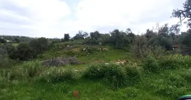 Propriété commerciale 100 073 m² dans Albufeira, Portugal