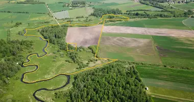 Plot of land in Udronys, Lithuania