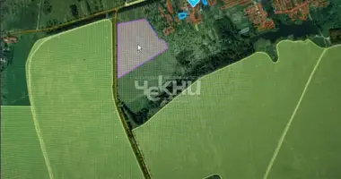 Plot of land in Tepelevo, Russia