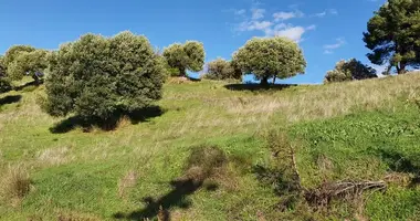 Terrain dans Paliouri, Grèce