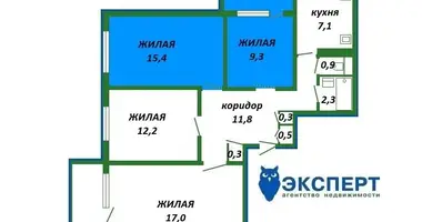 4 room apartment in Minsk, Belarus