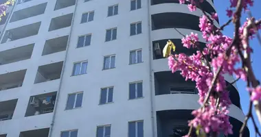 2 bedroom apartment in Batumi, Georgia