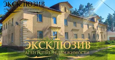 1 bedroom apartment in Zialiony Bor, Belarus