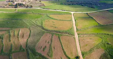 Plot of land in Kato Arodes, Cyprus