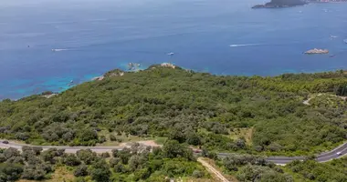 Terrain dans Blizikuce, Monténégro