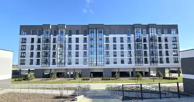 2 room apartment in Minsk, Belarus