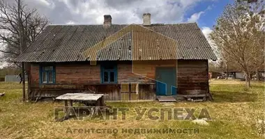 House in Vielikarycki sielski Saviet, Belarus