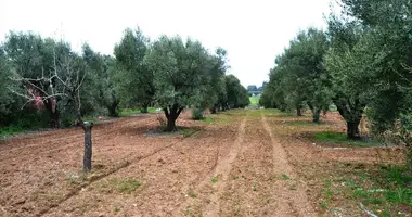 Działka w Agios Mamas, Grecja