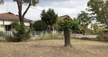 Plot of land in Katerini Municipality, Greece