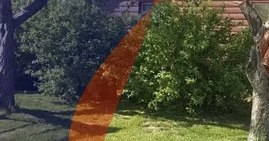 House in Stankauski sielski Saviet, Belarus