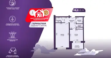 1 room apartment in Minsk, Belarus