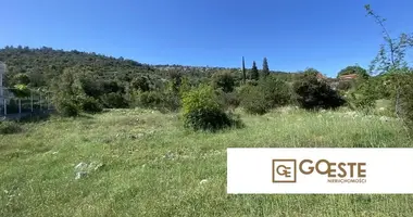Parcela en Opcina Dezanovac, Croacia