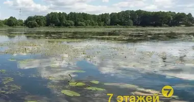 House in Klinocki sielski Saviet, Belarus