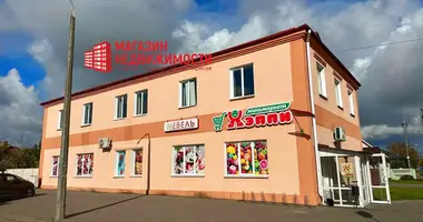 Propriété commerciale 545 m² dans Skidziel, Bélarus