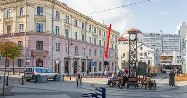 Restaurant in Minsk, Belarus