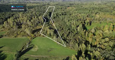 Plot of land in Barzdziunai, Lithuania
