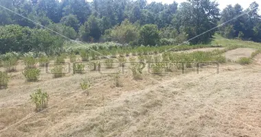 Plot of land in Opcina Krnjak, Croatia