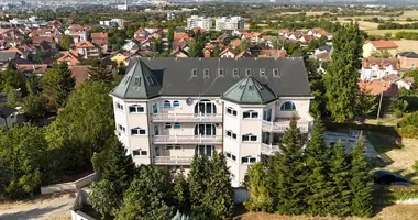 Villa in Sremska Kamenica, Serbia