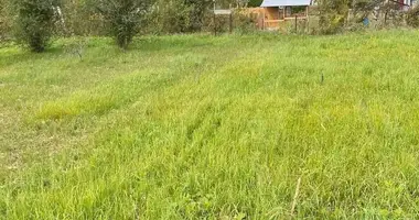 Plot of land in Dziescanski sielski Saviet, Belarus