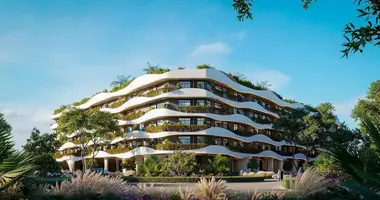 Estudio en Dubái, Emiratos Árabes Unidos