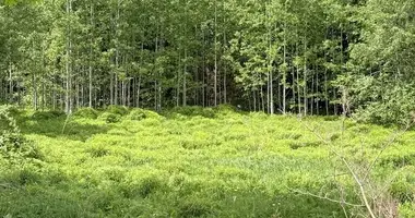 Дом в Папернянский сельский Совет, Беларусь