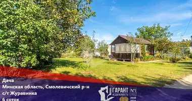 Дом в Жодинский сельский Совет, Беларусь