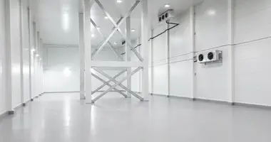 Warehouse 4 200 m² in Shchyolkovo, Russia