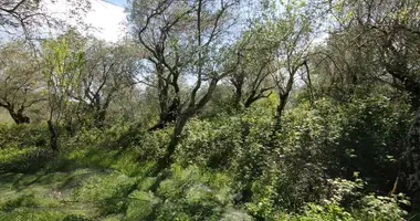 Участок земли в Спартилас, Греция