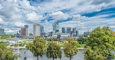 3 room apartment in Vilnius, Lithuania