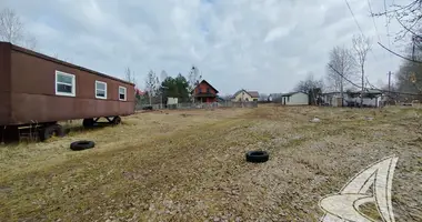 Plot of land in Muchaviecki sielski Saviet, Belarus