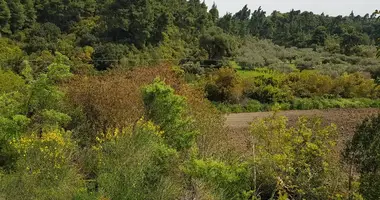 Terrain dans Kriopigi, Grèce