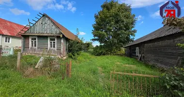 House in Liebiadzieva, Belarus