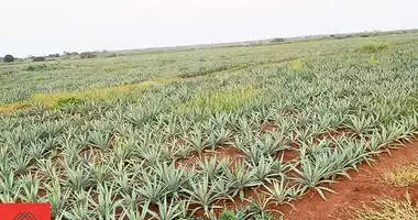 Участок земли в Танга, Танзания