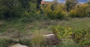 Участок земли в Добра Вода, Черногория