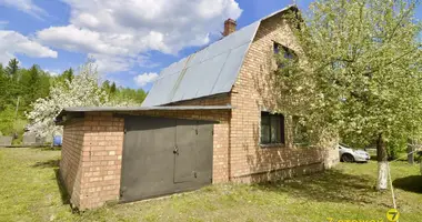 Дом в Негорельский сельский Совет, Беларусь