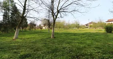 Appartement dans Osiek, Pologne