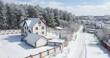Cottage in Barawlyany, Belarus