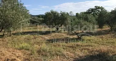 Участок земли в Aristotle Municipality, Греция