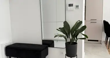 2 bedroom apartment in Mierzynek, Poland