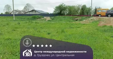 Działka w Palacanski sielski Saviet, Białoruś