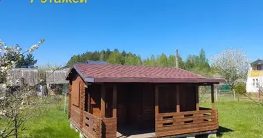 Plot of land in Nieharelski sielski Saviet, Belarus