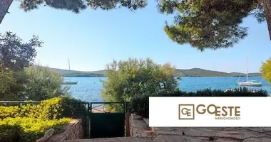 Maison 4 chambres dans Opcina Dezanovac, Croatie