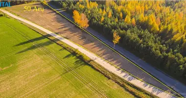 Terrain dans Kedainiai, Lituanie