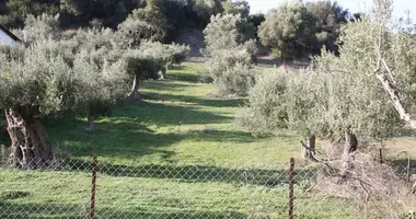 Terrain dans Nea Skioni, Grèce
