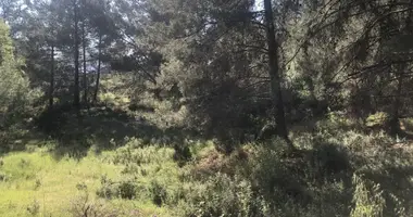 Apartamento en Pera Pedi, Chipre