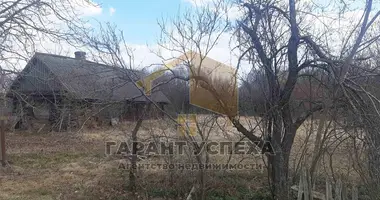 Участок земли в Киселевецкий сельский Совет, Беларусь