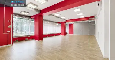 Коммерческое помещение 161 м² в Вильнюс, Литва