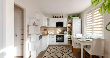 Wohnung 2 zimmer in Fanipal, Belarus