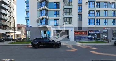 Commercial property 41 m² in Minsk, Belarus